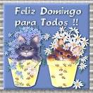 Frases De Feliz Domingo