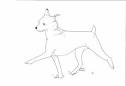 Gait coloring page