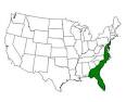 Atlantic coastal plain - Wikipedia, the free encyclopedia
