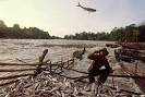 Save the Mekong