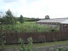 The white dots are free range - via Daymix