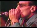 Charlie Baty - Guitar Rick Estrin - Harmonica, Lead Vocals Brad Lee Sexton
