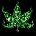 Imagenes De Marihuana