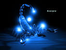 Zodiac Love Signs