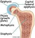 Physical Therapy in California South Bay for Pediatric Issues