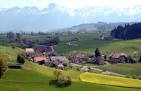 Genealogy of the Kochersperger, Kochersberger, Kochensperger ...