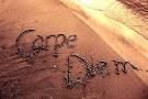 Body for LIFE Tracker Forums: BIKINI BOOTCAMP WEEKEND CARPE DIEM BABY