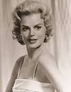 Barbara Lang Galleries