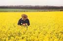 ICE canola hits near 2-week top on S.America worries