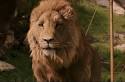 File:Aslan2005.jpg - Wikipedia, the free encyclopedia