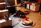 A U.S. soldier killed in the battle of Fallujah. Iraq, 2004 ...