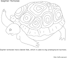 Gopher coloring page