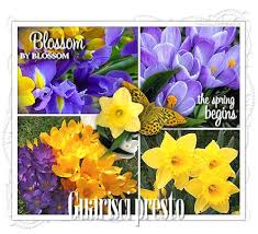 http://t3.gstatic.com/images?q=tbn:ANd9GcQKrxsBvAAXN8ZRUSbp5epU2EN6d-yAGLQp6A6FHUeLDzAzvteo