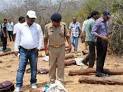 Shame on AP: Shooting red sander smugglers in the face is summary.