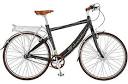 Schwinn's New Line of Electric Bikes : TreeHugger