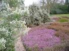 The clumps of white heather here are some 5-6 feet high. - via Daymix