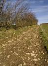 "Follow The Yellow Brick Road". No sign of the Wizard of Oz and these - via Daymix