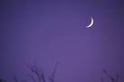 TQ2995 : Waxing Crescent Moon - via Daymix