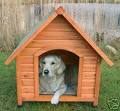 Animali domestici - cani - La cuccia