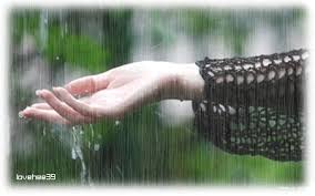 [Image: images?q=tbn:ANd9GcQMmQH1_iLbSM-LLrVW9yv...kEBHj_fvSA]