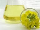 GMOs and why you should never use Canola oil. « Vanessa Runs