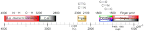 IR_summary_version_2.gif