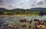 Walking the Nile - A Sidetracked Interview with Levison Wood