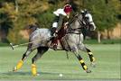 Polo pronunciation