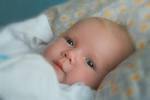 to create a baby with IVF.