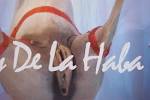 plein de panique: Horse vagina