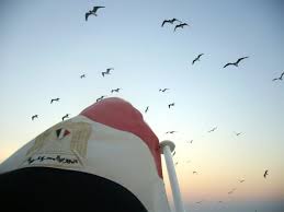 [صورة مرفقة: images?q=tbn:ANd9GcQNtjkr2_djFk3aKnISdKx...oxlJpY1qVj]