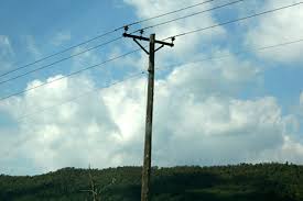 Phone pole