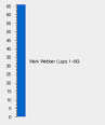 2010 Spanish Grand Prix - Wikipedia, the free encyclopedia