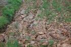 Can You Find the Cat – Riddle (3 PICS) - Funny Photos