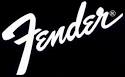 Results for FENDER® GUITARS