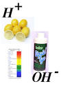 Mr. Reynolds » Grade 10 Chem/