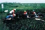 Habitat restoration oil spill - via Daymix