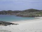 Tropical Beach - via Daymix