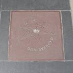 File:Dan Aykroyd Star on Canada's Walk of Fame.jpg - Wikipedia ...