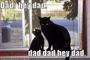 father's day humorous