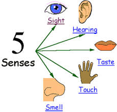 Fun & Info @ Keralites.net