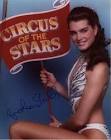 circus of the stars promo - Brooke Shields Photo (10560743) - Fanpop
