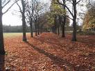Alvechurch, Worcestershire - via Daymix