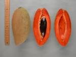 uberdionysus: Eating mamey and thinking about the art world