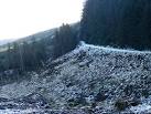 SN8484 : Hafren Forestry Road. near to Pant Mawr, Powys, Great Britain - via Daymix