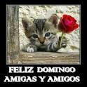Frases De Feliz Domingo