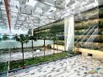 Singapore Changi Airport Terminal 3,WorldArchitectureNews ...