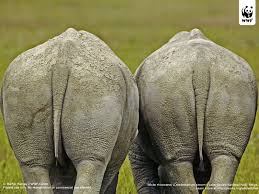 http://t3.gstatic.com/images?q=tbn:ANd9GcQQ9Fr7NuyOR35HngmhGPwmSVB9fb-2m4cf9lelFheV2JVn_SNfDA