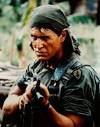 Tom Berenger Image Runs like a gay: Tom Berenger Picture 5