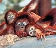 Cleveland Metroparks Zoo